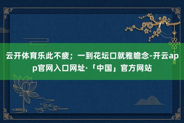 云开体育乐此不疲；一到花坛口就雅瞻念-开云app官网入口网址·「中国」官方网站