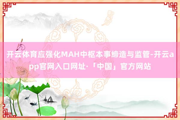 开云体育应强化MAH中枢本事缔造与监管-开云app官网入口网址·「中国」官方网站